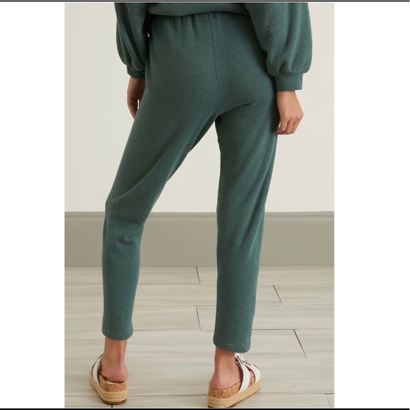 Xirena Crosby pant sz M - Picture 4 of 15